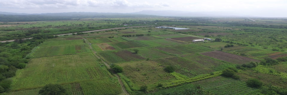 Apply now for agricultural land lease